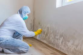 Best Comprehensive Air Testing for Mold Contaminants  in West Long Branch, NJ